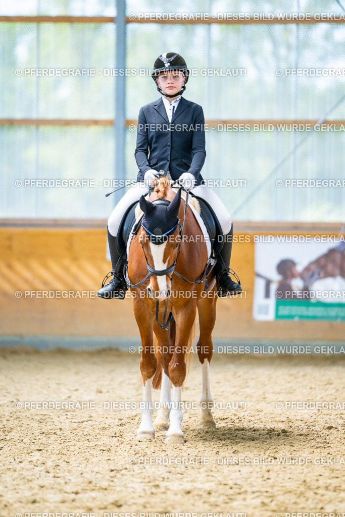 DSC09675 | Pferdegrafie