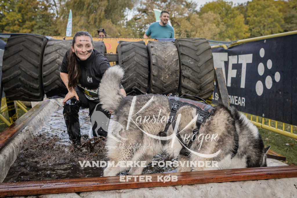 1455_ZZ90672 | kk-dogfotos