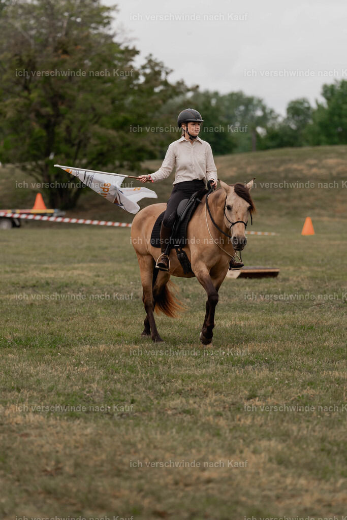 Showprogramm-34 | working equitationturnier fotograf videograf stoibphotography marixx film working equitation deutschland reitsport turnierfotografie eventfotografie equestrian events