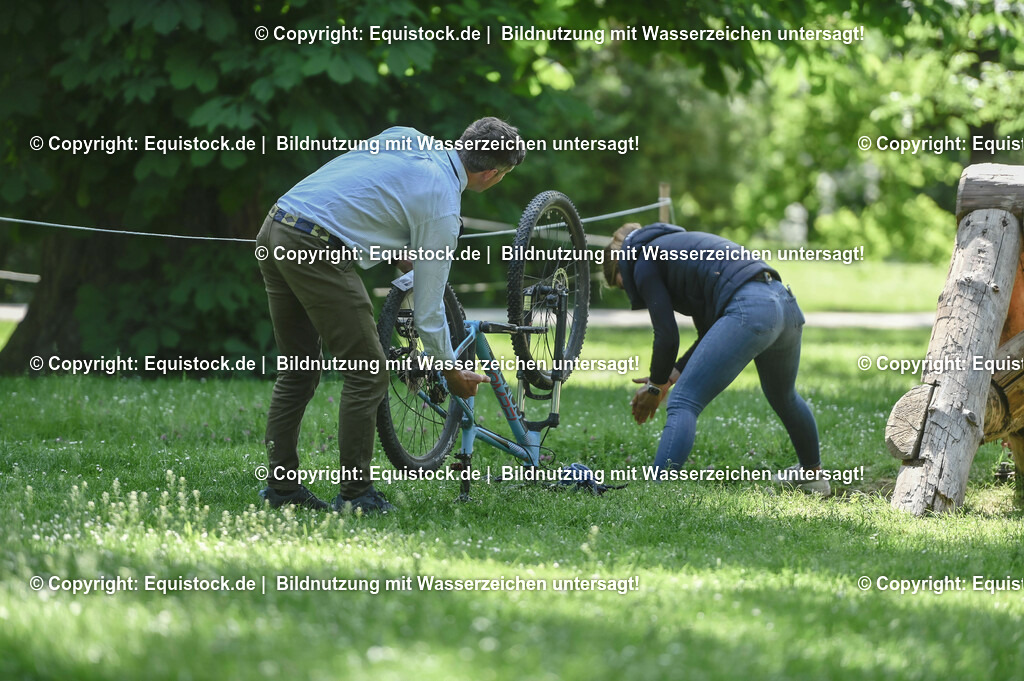 D78_2862 | equistock