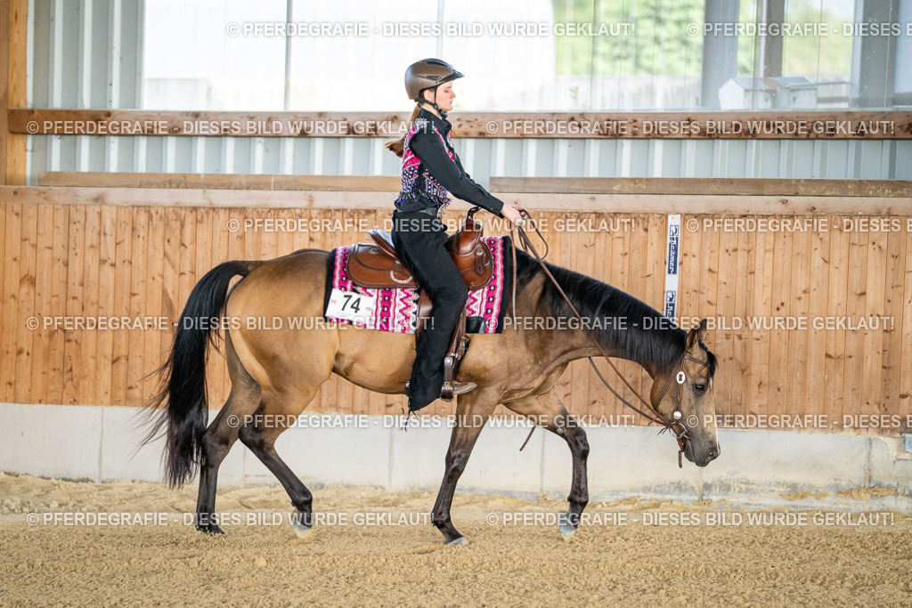 DSC07853 | Pferdegrafie