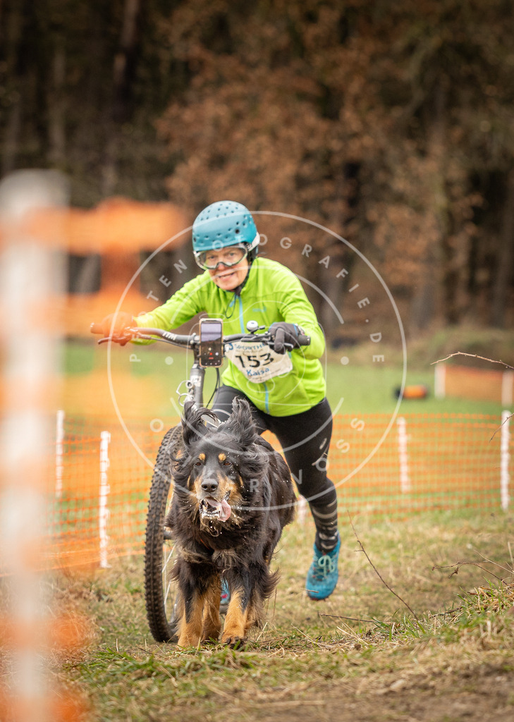 DV3A1649 | Hundefotografie, Tierfotograf, Pfotenfotografie, Fotoshooting Hund, Hunde Portrait, Hundesport, Hundeportraits, Heideshooting, Hunde, Sportfotograf, Hundefotograf, Turnierhundsport, THS,  - Realisiert mit Pictrs.com