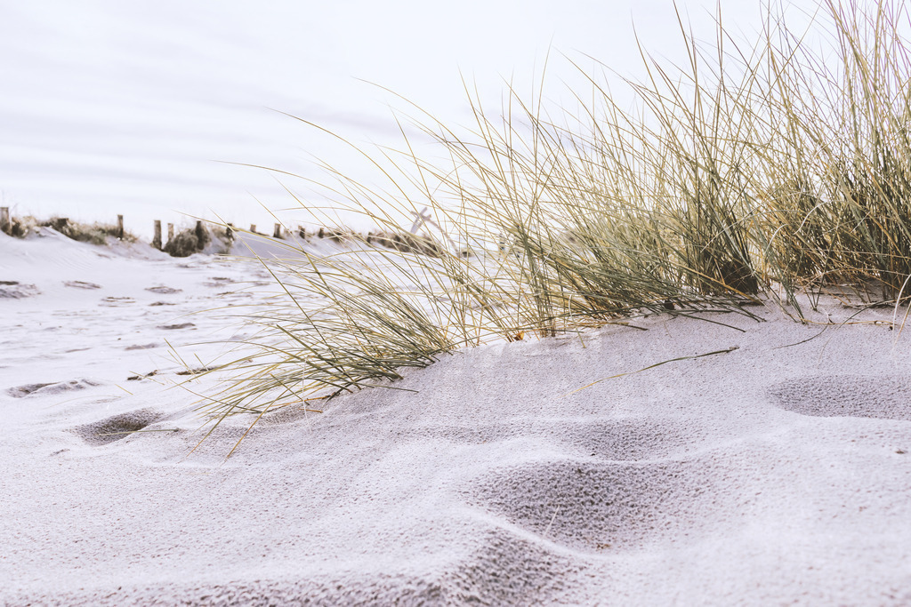XXL Wandbild: Strandhafer im Sonnenschein am Meer | Lichtdurchflutete Küstenidylle im Querformat. Dieses XXL Wandbild fängt die sommerliche Leichtigkeit eines sonnigen Tages an der Ostsee ein: Filigraner Strandhafer wächst aus einer sanften Sanddüne im Vordergrund, während die Halme im hellen Sonnenlicht fast silbern leuchten. Im Hintergrund erstreckt sich der weite, helle Sandstrand unter einem leicht bewölkten Himmel, der die Weite der Küstenlandschaft unterstreicht. Holen Sie sich diese freundliche und belebende Atmosphäre nach Hause, um in Ihren Wohn- oder Schlafräumen einen Ort der Ruhe und Frische zu schaffen. Auch in Ferienwohnungen setzt dieses natürliche Motiv einen zeitlosen, maritimen Akzent. Die perspektivische Aufnahme vom Boden aus verleiht dem Raum eine besondere Tiefe und lässt den Betrachter die Wärme des Sandes förmlich spüren.