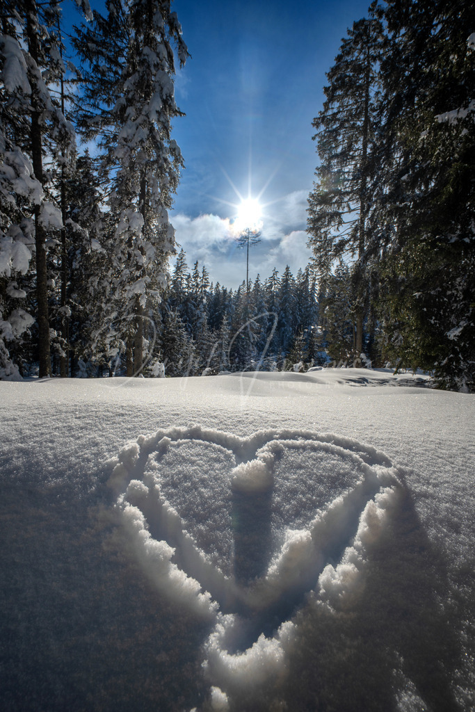 Mösern | Herz im Pulverschnee