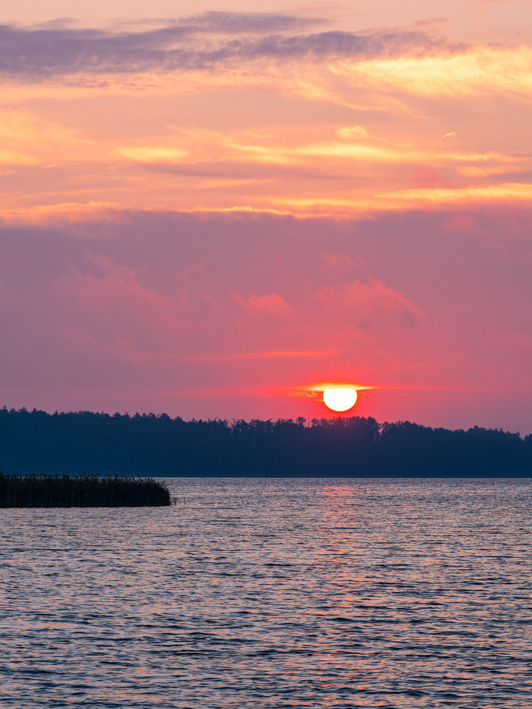 Sonnenaufgang in Seedorf am Schaalsee mit Schilf und Bäumen | Sonnenaufgang in Seedorf am Schaalsee mit Schilf und Bäumen.