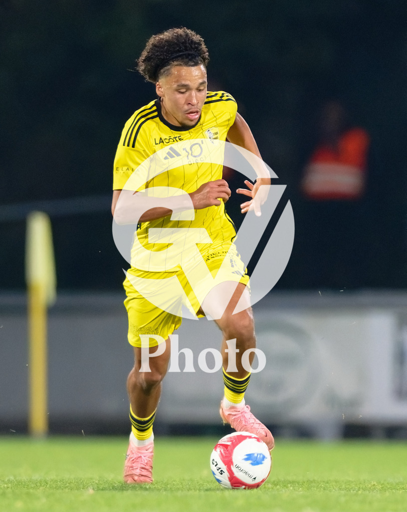 dieci Challenge League - FC Stade Nyonnais v FC Wil 1900 |  during the dieci Challenge League match between FC Stade Nyonnais and FC Wil 1900 at Centre sportif de Colovray in Nyon, Switzerland