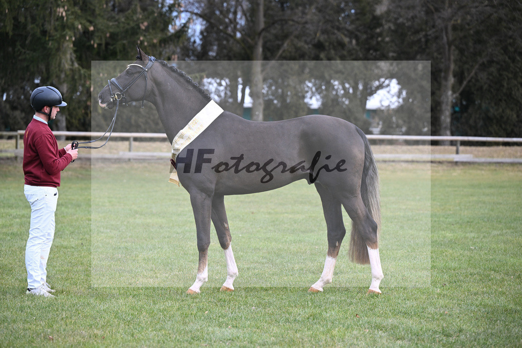 Kat.-Nr. 45 v. Bonds_Schafhof_2252183 | hf-fotografie - Realisiert mit Pictrs.com