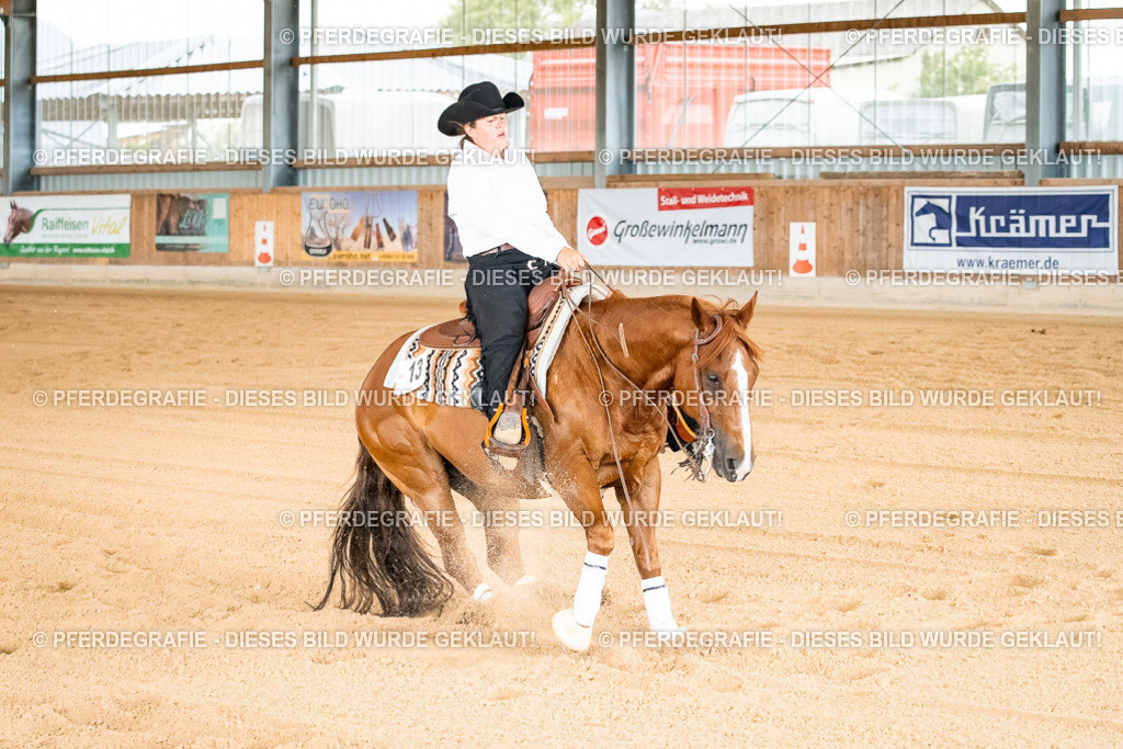 DSC02448 | Pferdegrafie