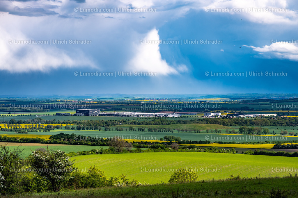10049-14107 - Frühling am Huy | Stockfoto und Bilderpool mit Bildmaterial aus Deutschland, dem Harz, Halberstadt, Quedlinburg, Wernigerode und weltweit. Qualitativ hochwertige und professionelle Fotos anschauen und kaufen. - Realisiert mit Pictrs.com