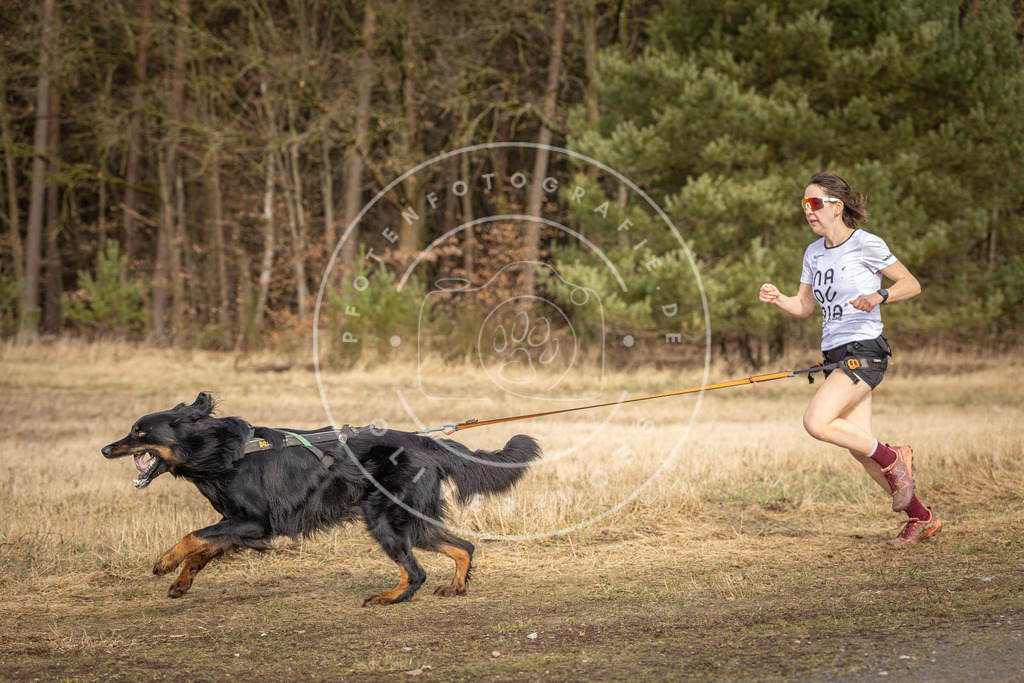 DV3A3641 | Hundefotografie, Tierfotograf, Pfotenfotografie, Fotoshooting Hund, Hunde Portrait, Hundesport, Hundeportraits, Heideshooting, Hunde, Sportfotograf, Hundefotograf, Turnierhundsport, THS,  - Realisiert mit Pictrs.com