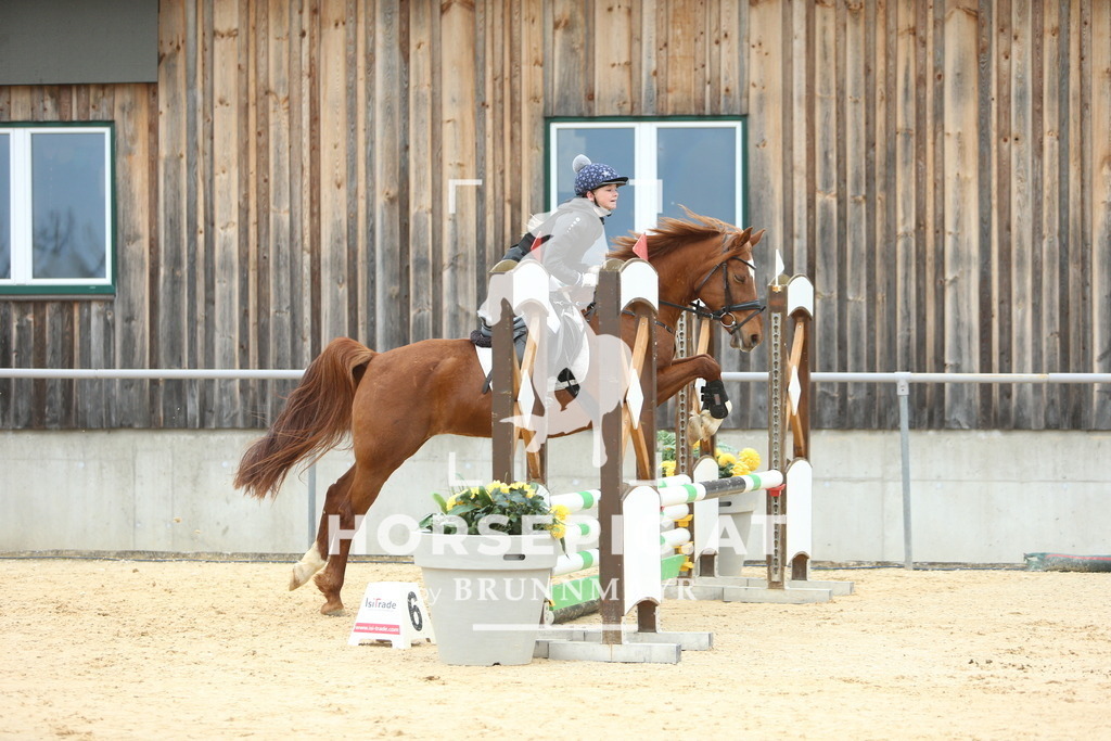 DL2Q2330 | Willkommen bei Brunnmayr - Design & Fotografie – Ihrem Spezialisten für Reitturniere und Pferdeveranstaltungen in Oberösterreich, Salzburg und Bayern! Seit über 17 Jahren sind wir leidenschaftlich dabei.