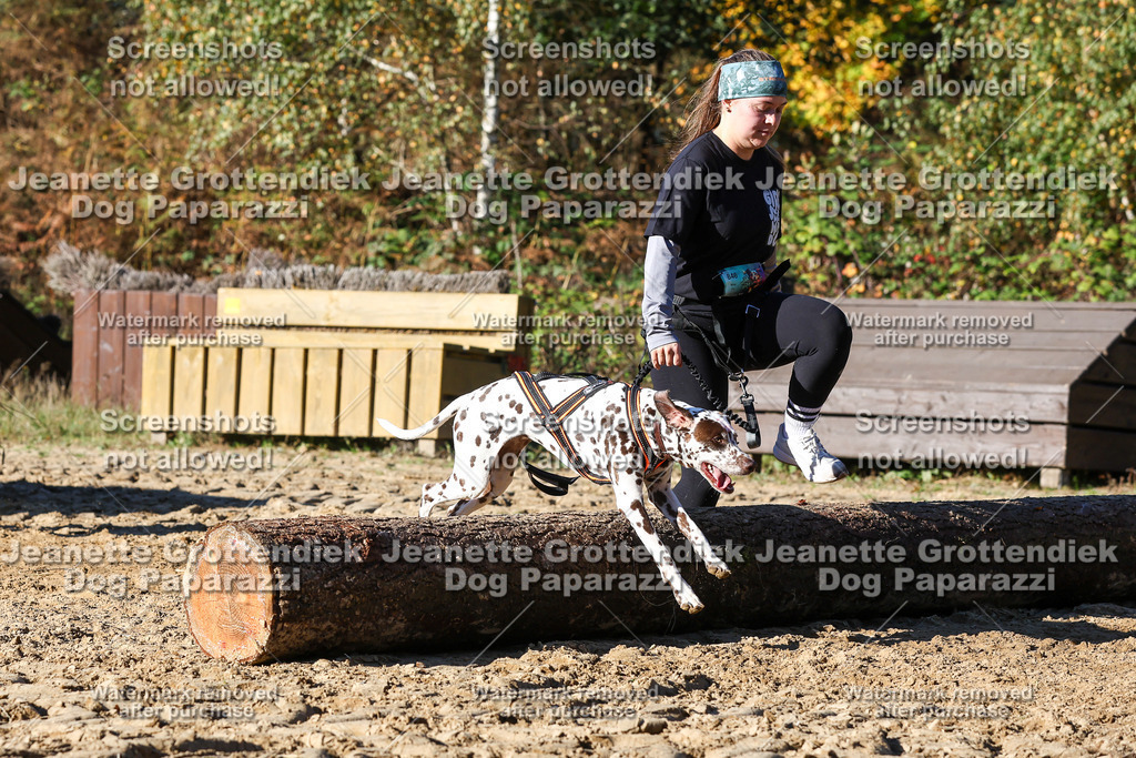 Dog Paparazzi - Strongdog 10-25-2135 | Dog Paparazzi Jeanette Grottendiek Fotografie & Videografie - Realisiert mit Pictrs.com