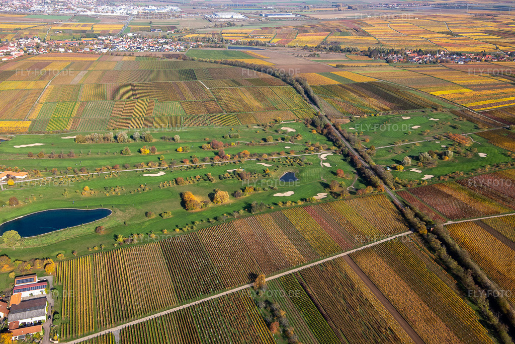 Luftbild: Golfgarten Deutsche Weinstraße in Dackenheim im Bundesland Rheinland-Pfalz in Deutschland. Foto: IMG_123519.jpg vom 31.10.2020 durch Werner Riehm/FLY-FOTO.de