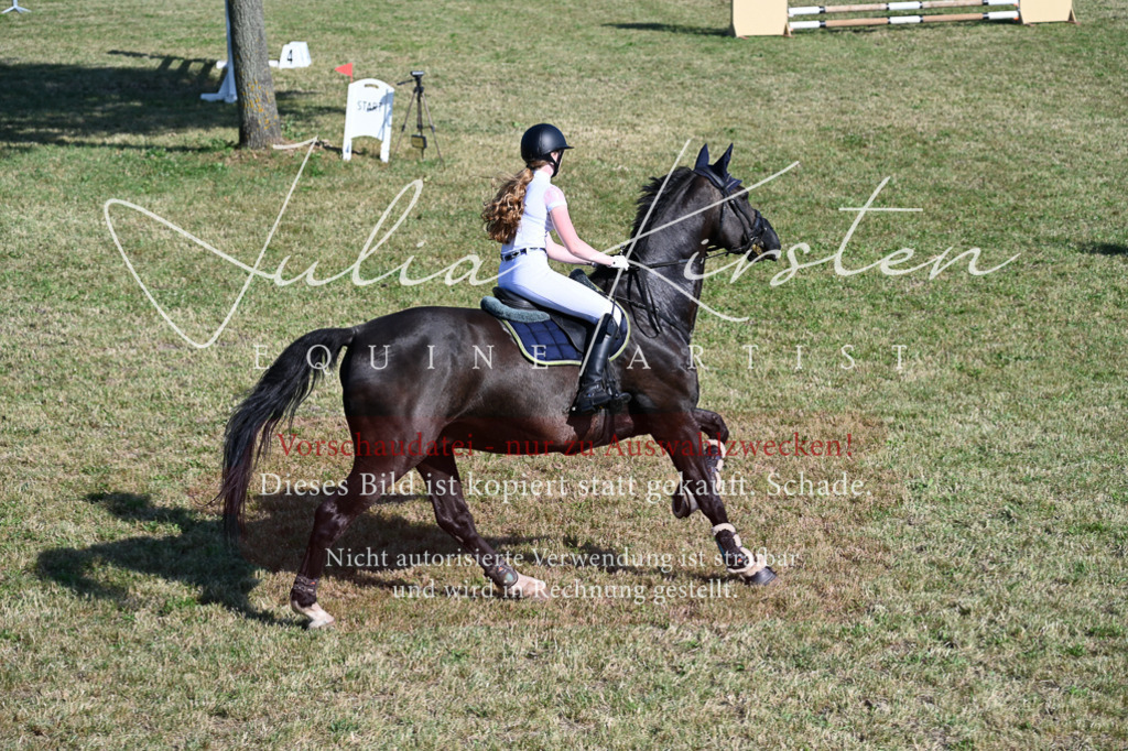 DSC_2500 | Pferde- und Turnierfotografie in Westsachsen. Pferdeportraits, Auftragszeichnungen und intuitive Kunst.