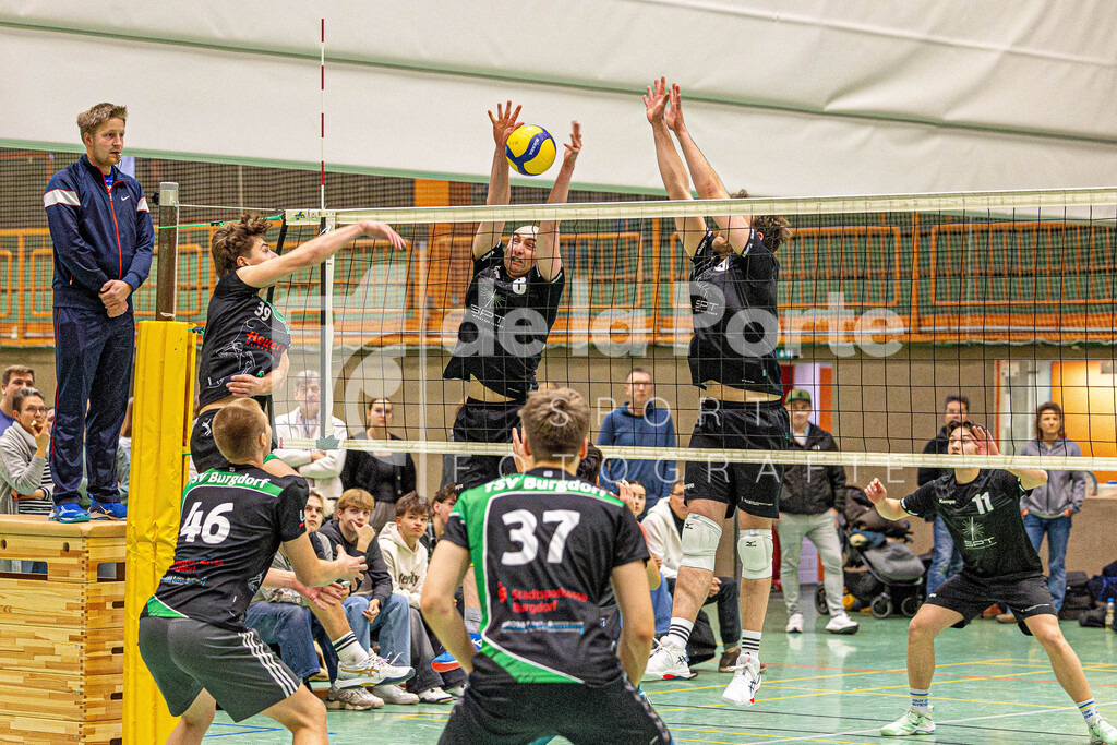 Dreyer_ Malte und Jannis Reske im Block vs TSV Burgdorf 170126 dlP | immodelaporte-sportfotos - Realisiert mit Pictrs.com