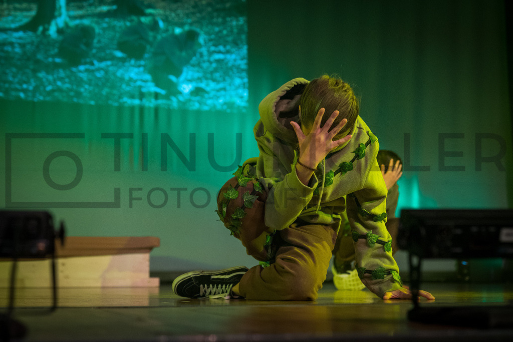 DSC06175 | Tinu Müller Fotografie- Bildershop - Realisiert mit Pictrs.com