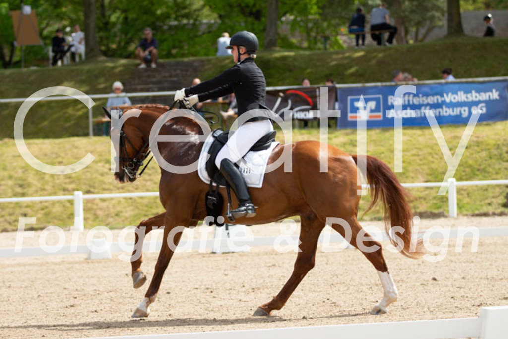 IMG_6475 | Creatify Fotografie