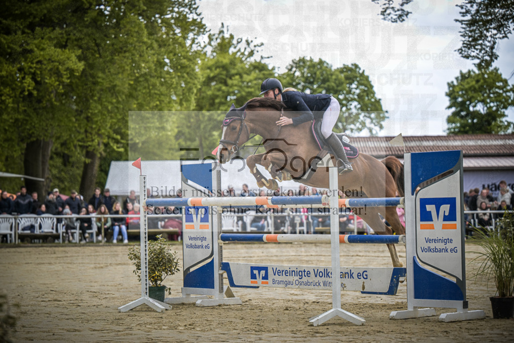DOS_2167 | Entdecke hochwertige Reitturnierfotos von Foto Oger. Professionell, emotional und authentisch – jetzt Lieblingsmomente im Shop bestellen.Deutschlandweite Turnierfotografie. - Realisiert mit Pictrs.com
