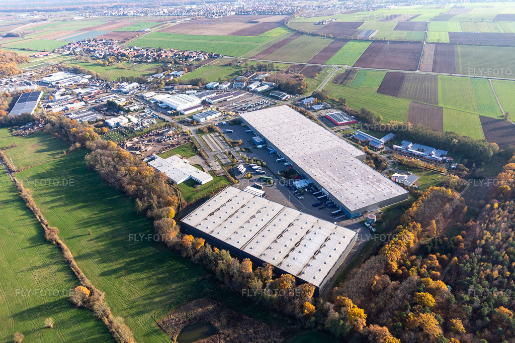 Luftbild: Gewerbegebiet Horst mit Magna Exteriors, Zufall Logistics, STS Group und Thermo Fisher im Ortsteil Minderslachen in Kandel im Bundesland Rheinland-Pfalz in Deutschland. Foto: IMG_123854.jpg vom 21.11.2020 durch Werner Riehm/FLY-FOTO.de