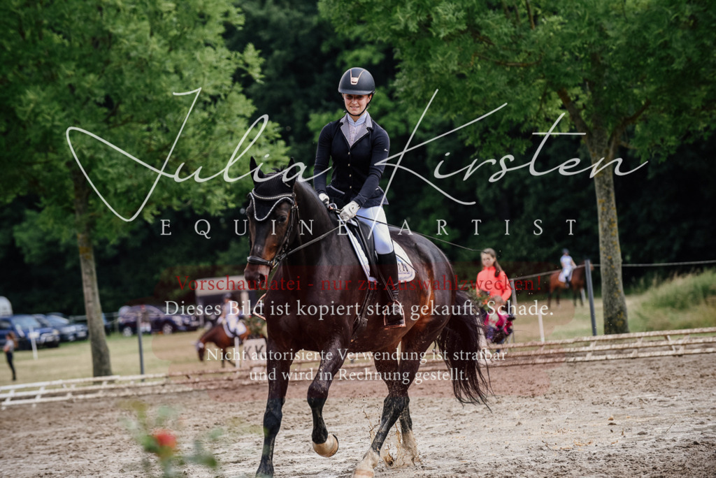 DSC_0626 | Pferde- und Turnierfotografie in Westsachsen. Pferdeportraits, Auftragszeichnungen und intuitive Kunst.