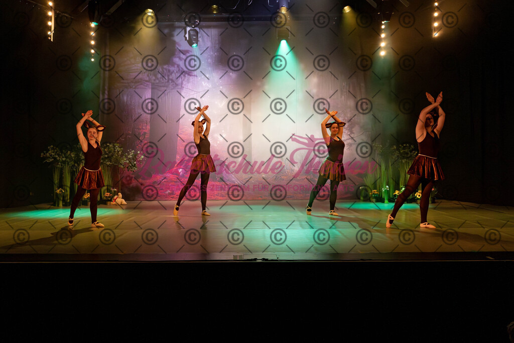 Ballettaufführung-32 | Bildershop Lem'n Entertainment - Realisiert mit Pictrs.com