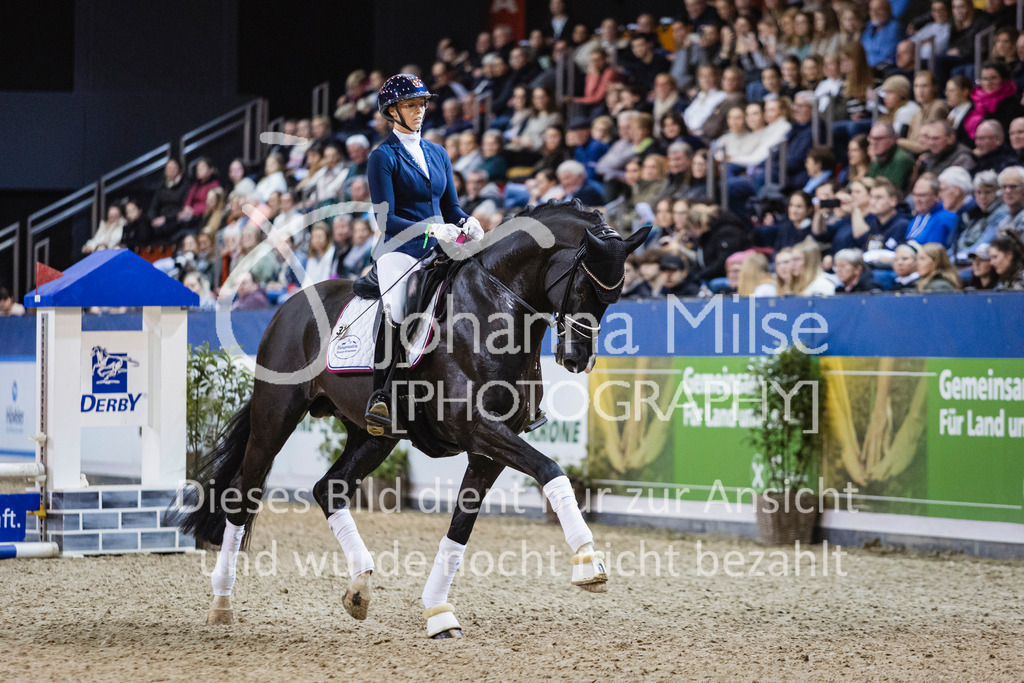 250108_Muenster_Hengstpräsentation-123 | Deine schönsten Turniermomente als professionelle Fotos! Entdecke hochwertige Pferdesport-Fotografie im Online-Shop. Jetzt Fotos finden & bestellen!