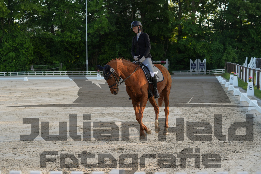 DSC02576 | Julian Held Fotografie - Realisiert mit Pictrs.com