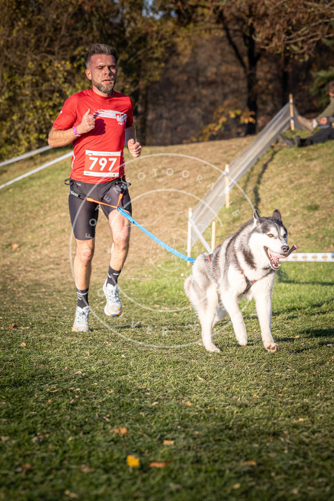 CaniXpix_0L8A0351 | Hundefotografie, Tierfotograf, Pfotenfotografie, Fotoshooting Hund, Hunde Portrait, Hundesport, Hundeportraits, Heideshooting, Hunde, Sportfotograf, Hundefotograf, Turnierhundsport, THS,  - Realisiert mit Pictrs.com