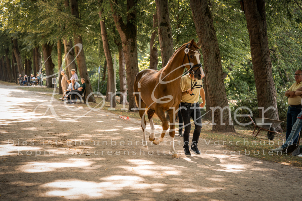 FrPfM00245 | Leoni Ertmer Photography - Realisiert mit Pictrs.com