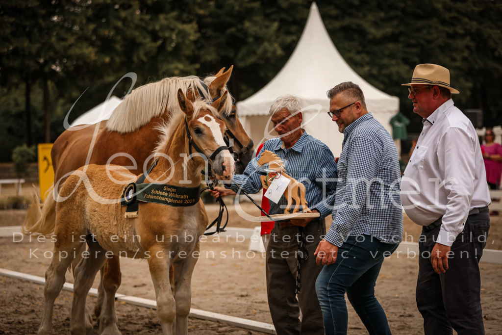 SaHF00146 | Leoni Ertmer Photography - Realisiert mit Pictrs.com