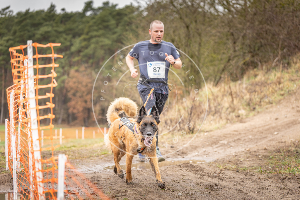 DV3A0375 | Hundefotografie, Tierfotograf, Pfotenfotografie, Fotoshooting Hund, Hunde Portrait, Hundesport, Hundeportraits, Heideshooting, Hunde, Sportfotograf, Hundefotograf, Turnierhundsport, THS,  - Realisiert mit Pictrs.com