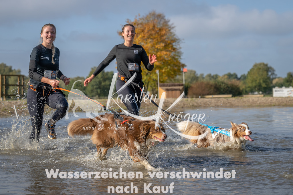 1106_ZZ91561 | kk-dogfotos