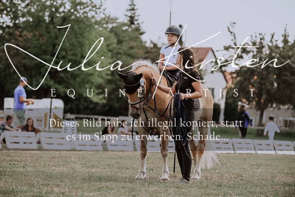 DSC_7719 | Pferde- und Turnierfotografie in Westsachsen. Pferdeportraits, Auftragszeichnungen und intuitive Kunst.