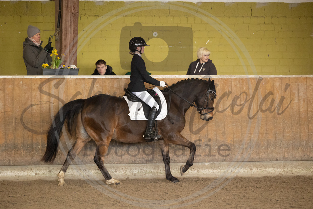 994A9018 | sabrinanicolaifotografie - Realisiert mit Pictrs.com