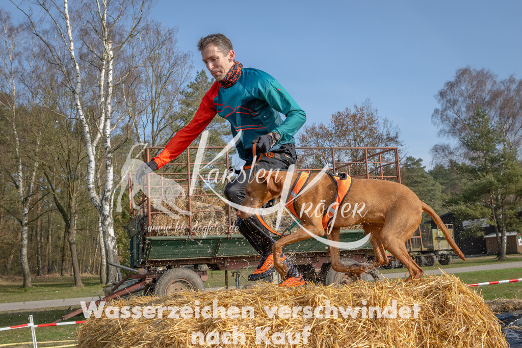 _ZZ90682 | kk-dogfotos