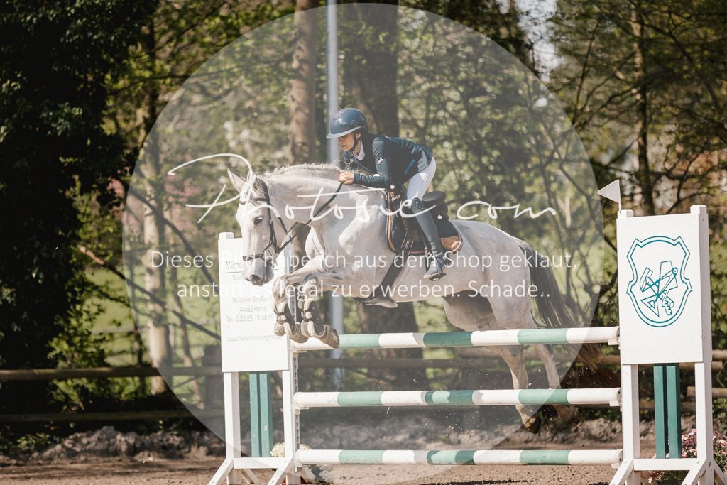 3I6A4037 | Stimmungsvolle Portraits und Reitsportfotografie im Ruhrgebiet und im Münsterland.

Pferdefotografie, Hundefotografie, Tierfotografie, Reportagen, Portraits von Tier und Mensch, Turnierfotografie in Bochum, Recklinghausen, Marl, Haltern am See, Dülmen.. - Realisiert mit Pictrs.com