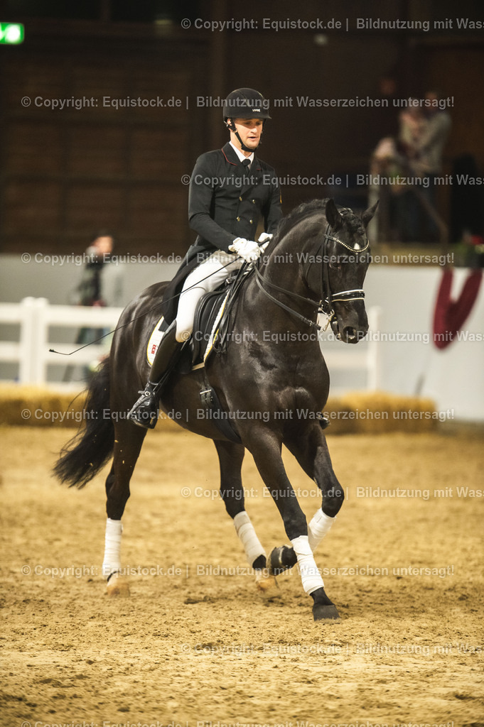20240302_Hengstvorstellung_Marbach_TOMsPiC_1532 | equistock