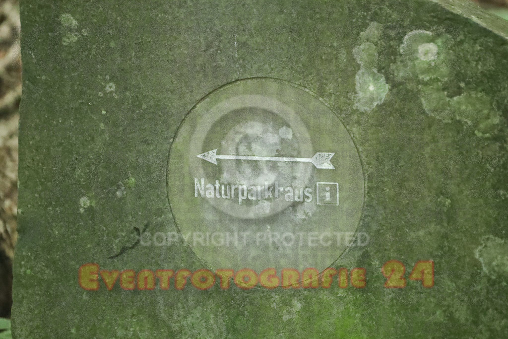 230917_1033_EX2_5766 | Eventfotografie 24
Sport- und Eventfotografie