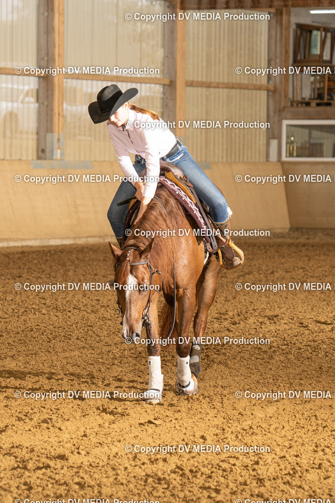 LAU00629 | dv-media-shop - Realisiert mit Pictrs.com