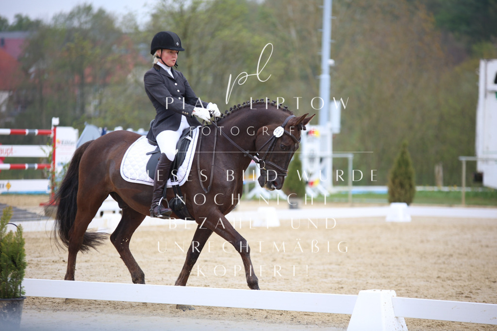 IMGT5970 | pl-fotografie