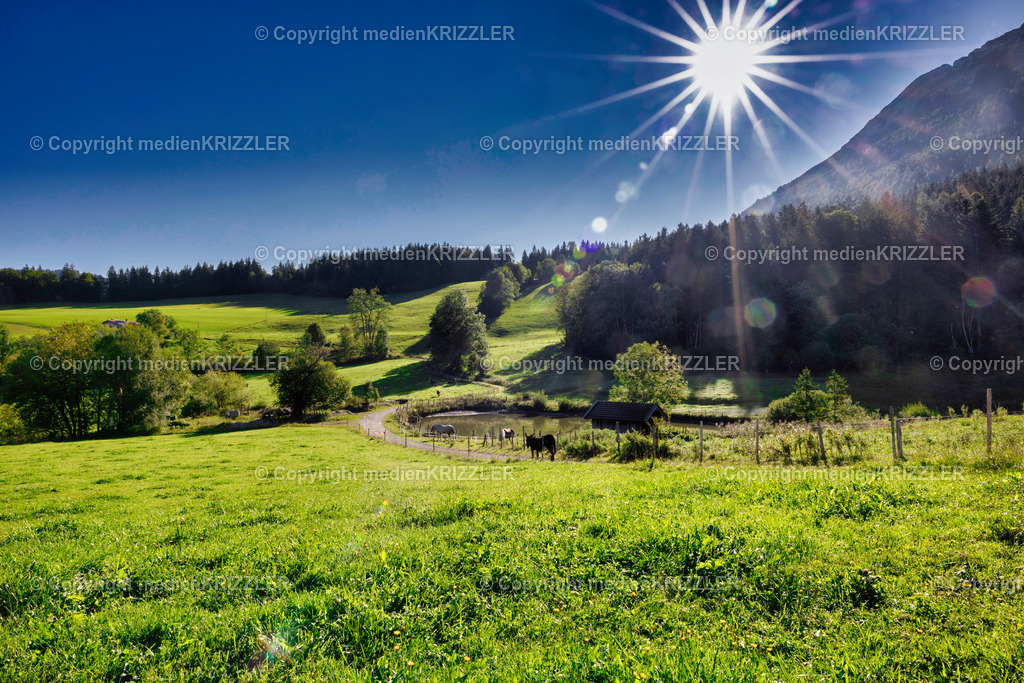 _J3A2314 | medienkrizzler - Realisiert mit Pictrs.com