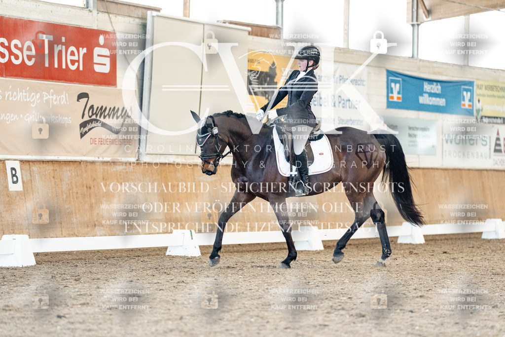 CK908012 | Turnierfotografie Pferdefotografie Trier Rheinland-Pfalz Pferdesport Reitsport Tierfotografie Sportfotografie Pferdevideo Pferdevideografie Equestrianvideography equestrianphotography  - Realisiert mit Pictrs.com