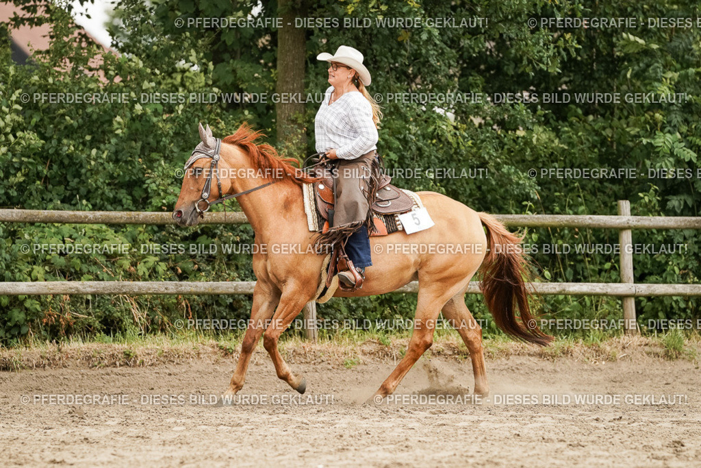 DSC08966 | Pferdegrafie