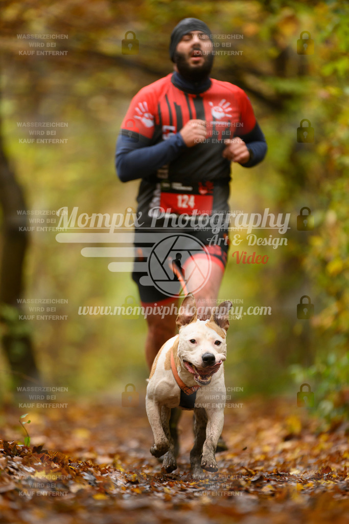 MompixPhotography_CD7S_DI_CCL-78 | mompixphotography