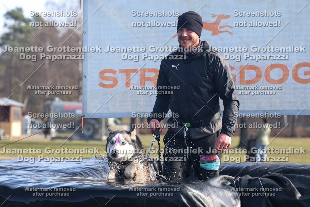 Dog Paparazzi - Strongdog North Mrz26-1078 | Dog Paparazzi Jeanette Grottendiek Fotografie & Videografie - Realisiert mit Pictrs.com