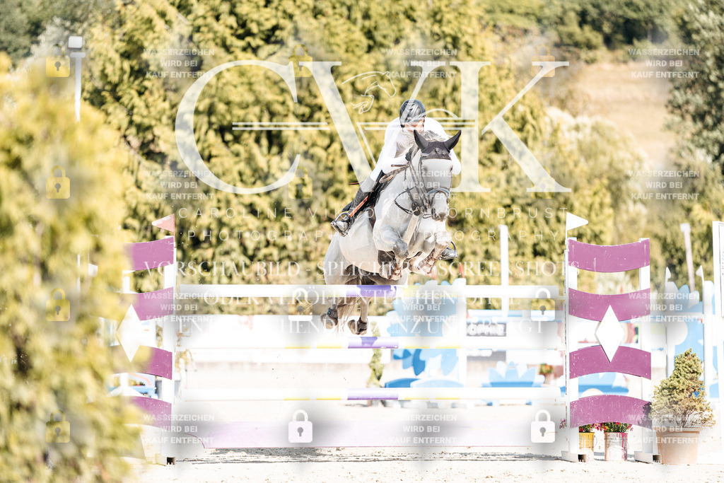 CK909151 | Turnierfotografie Pferdefotografie Trier Rheinland-Pfalz Pferdesport Reitsport Tierfotografie Sportfotografie Pferdevideo Pferdevideografie Equestrianvideography equestrianphotography  - Realisiert mit Pictrs.com