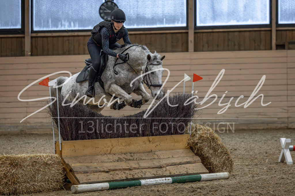 20260222-_3LI1053 | Tierfotografie Pferde, Hunde, Katzen, Haustiere.
Turnierfotografie Reitturniere, Reiten, Springreiten, Dressur in Hanau, dem Main-Kinzig-Kreis und dem Rhein-Main- Gebiet um Frankfurt