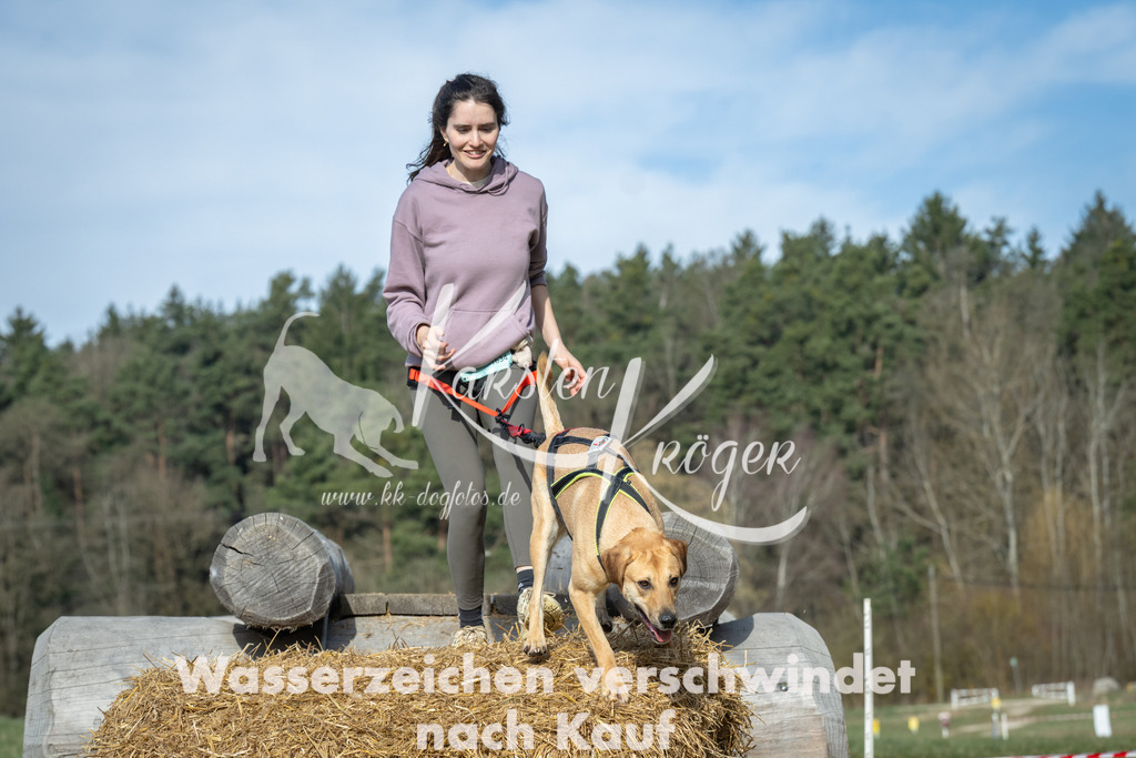0957_ZZ97639 | kk-dogfotos