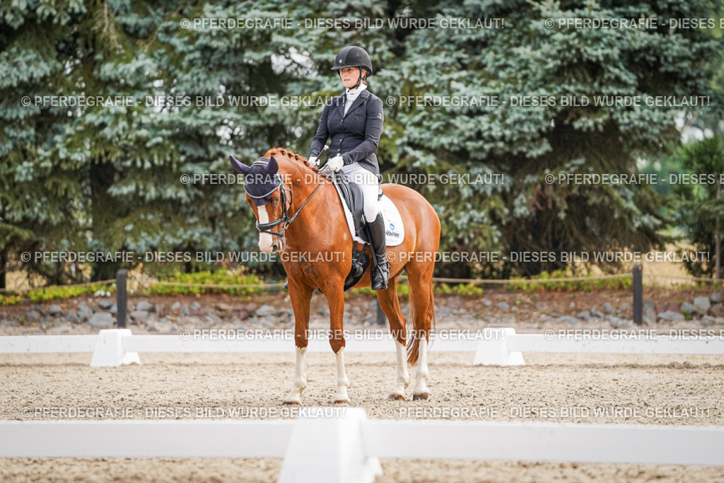 DSC01758 | Pferdegrafie