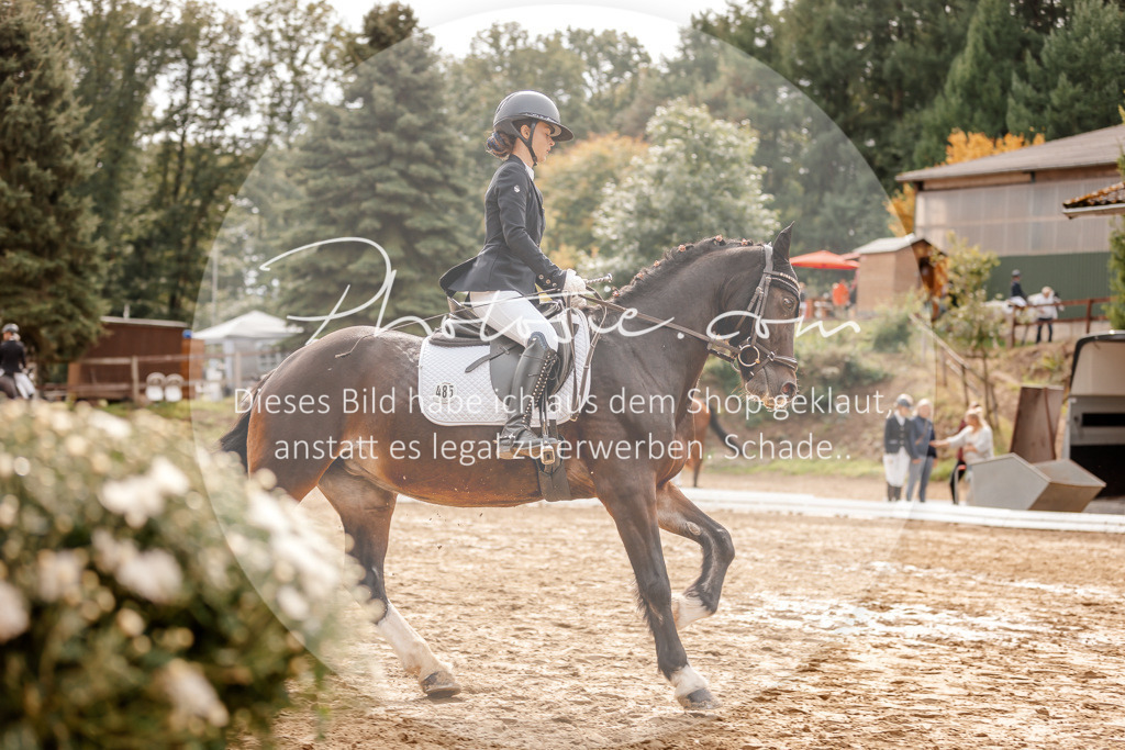 3I6A7506 | Stimmungsvolle Portraits und Reitsportfotografie im Ruhrgebiet und im Münsterland.

Pferdefotografie, Hundefotografie, Tierfotografie, Reportagen, Portraits von Tier und Mensch, Turnierfotografie in Bochum, Recklinghausen, Marl, Haltern am See, Dülmen.. - Realisiert mit Pictrs.com